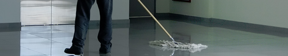 Blue Ribbon Cleaning Ocala